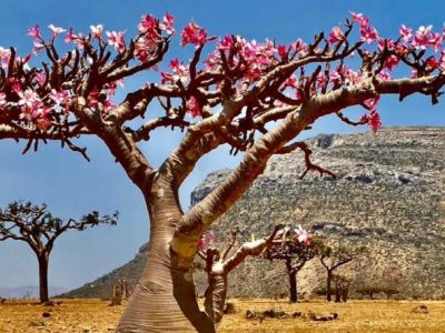 Itineraries have been&nbsp;published!